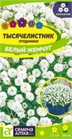 Семена Тысячелистник Белый жемчуг 0,05гр Семена Алтая 123746