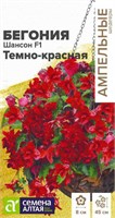 Семена Бегония Шансон Темно-красная 5шт Семена Алтая 123815