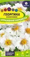Семена Георгина Отражение нарцисса 0,2гр Семена Алтая 123967