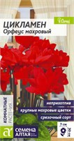 Семена Цикламен Орфеус махровый 3шт Семена Алтая 124035