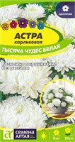 Семена Астра карликовая Тысяча чудес Белая 0,15гр Семена Алтая 124246