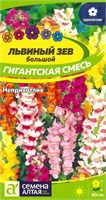 Семена Львиный зев Гигантская смесь 0,1гр Семена Алтая 124255