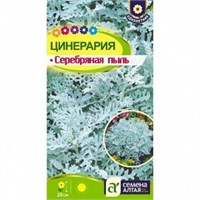 Семена Цинерария Серебряная пыль 0,05гр Семена Алтая 124357