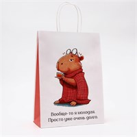Пакет подарочный бумажный, «Молодая», 24*10.5*32см 124424