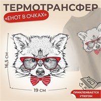 Термотрансфер Енот в очках 16,5*19см  30873