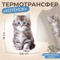 Термотрансфер «Котёнок», 11.6*19см 125189