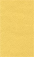 Бумага д/пастели lana colours А3 160г/м2, цвет светло-желтый, 1л  125214