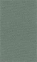 Бумага д/пастели lana colours А3 160г/м2, цвет полынь, 1л  125219