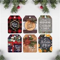 Н-р шильдиков на подарки «Счастья в Новом году», 16*24см, 6шт 102440