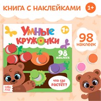 Книга с наклейками «Умные кружочки. Что, где растёт?», 12стр 125691