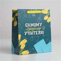 Пакет подарочный ламинированный, «Самому Лучшему Учителю», ML 27*23*11.5см 125913