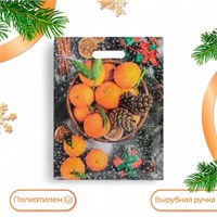 Пакет подарочный новогодний «Мандарины», полиэтиленовый с вырубной ручкой, 40*31см 126066