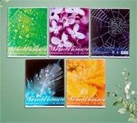 Тетрадь 48л в клетку, Calligrata «Микромир», МИКС 1шт 126073