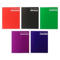 Тетрадь 48л в клетку, Calligrata «Это Тетрадь», МИКС 1шт 126075