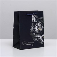 Пакет ламинированный вертикальный «Сильному духом», MS 18*23*10см 102787