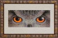 Панна н-р д/вышивки золотая серия Взгляд филина CO-0719  101173