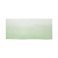 лента капрон двухцветная ORР-38 №001/076 белый/зеленый