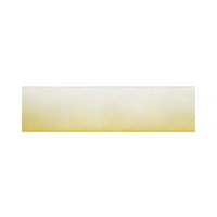 лента капрон двухцветная ORР-25 №001/016 белый/желтый