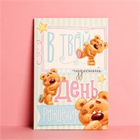 Открытка «В Твой День Рождения», 12х18см 1356