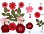 Сухоцветы д/творчества и декора "цветочки"красно-розовый микс с листьями розы 102191 - фото 10588