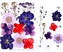 Сухоцветы д/творчества и декора "цветочки"сиреневый микс 102192 - фото 10589