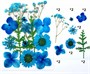 Сухоцветы д/творчества и декора "цветочки"голубой микс 102193 - фото 10590