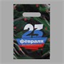 Пакет "23 февраля", полиэтиленовый с вырубной ручкой, 20*30см, 30мк 21835 - фото 16524