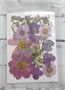 Декор Сухоцветы мини "цветочки" ассорти 10*14см, сиренево-фиолетовый микс 108297 - фото 20750