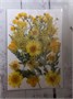 Декор Сухоцветы мини "цветочки" ассорти 10*14см, желтый микс 108313 - фото 20801