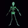 Скелет светящийся флуоресцентный 1шт, 33см - фото 23056