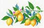 Канва с рис Лимонная гармония 30*40см СК-098 - фото 27248