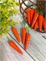 Искусственная морковь 6см н-р 4шт  5779 - фото 29314