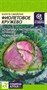 Семена Капуста савойская Фиолетовое Кружево 0,3г Семена Алтая - фото 29750