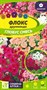 Семена Флокс Глобус Смесь 0,1гр Семена Алтая 117774 - фото 32243