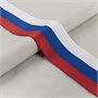 Лента триколор 80мм 1м С2903Г17 118270 - фото 32903