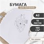 Бумага д/черчения А2, 10л Calligrata, без рамки, блок 160 г/м2 121165 - фото 38096