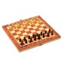 Шахматы, шашки, нарды, настольные игры, н-р 3в1, 24*24см 28144 - фото 39479