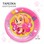 Тарелка одноразовая бумажная «С Днем Рождения!», 10шт, 18см, Щенячий патруль 123363 - фото 40097