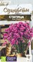 Семена Статица Кис роуз 7шт Семена Алтая 124364 - фото 41494