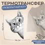 Термотрансфер «Любопытный кот», 14*22.3см 125188 - фото 42308